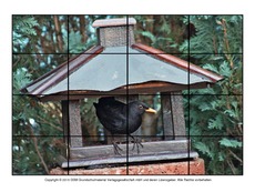 Puzzle-Amsel-8.pdf